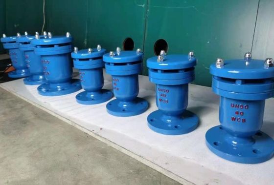 DI Wafer Dual Plate Check Valve for Customized Service in Industrial Applications