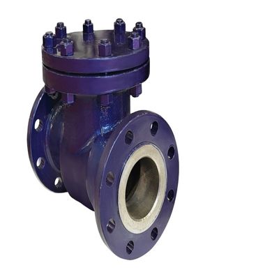 10 Inch DN100 PN16 PN25 PN40 CI Metal Seat High Pressure Air Check Valve for Fittings