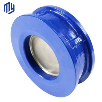 Single Plate Swing Check Valve in Stainless Steel Flange Wafer Design for Drain Valve