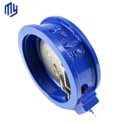 Single Plate Swing Check Valve in Stainless Steel Flange Wafer Design for Drain Valve