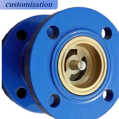 Gas and Hydraulic Double Flanged Globe Silent Check Valve for Industrial Applications
