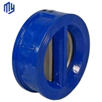 Stainless Steel/Cast Iron/Cast Steel Dual Plate Check Valve for Gas Media Efficiency