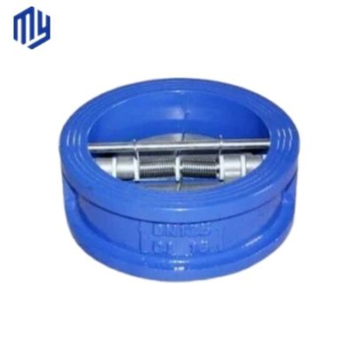 Stainless Steel/Cast Iron/Cast Steel Dual Plate Check Valve for Gas Media Efficiency