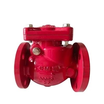 Customized Support Non Return Gas Swing Check Valve DN 600 for Gas Media and OEM Support