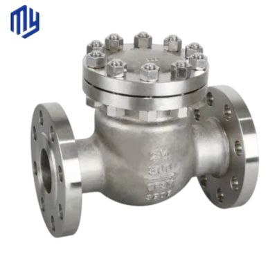 ODM Support Multi Single Disc Door Flanged Swing Type Check Valve Drain Valve CE Certificate