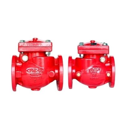 Ansi 6&quot; Cast Steel Swing Check Valve Non-Return Drain Valve with Customized Service