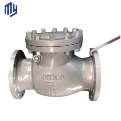 Customized Service Multi Single Disc Door Flanged Swing Type Check Valve Drain Valve