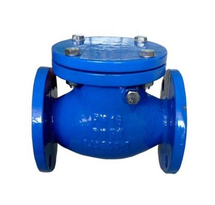 Flange Joint Ends BS Standard Swing Check Valve for OBM Customized Solutions and More