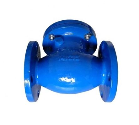 Flange Joint Ends BS Standard Swing Check Valve for OBM Customized Solutions and More