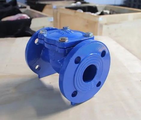 Flange Joint Ends BS Standard Swing Check Valve for OBM Customized Solutions and More