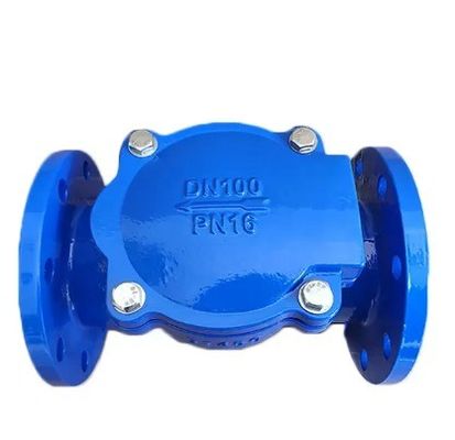 Flange Joint Ends BS Standard Swing Check Valve for OBM Customized Solutions and More