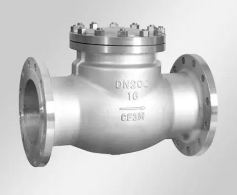 Customized ODM Support for Swing Type Flange Check Valve and Flange