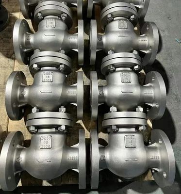 Customized ODM Support for Swing Type Flange Check Valve and Flange