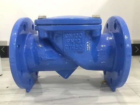 Customized ODM Support for Swing Type Flange Check Valve and Flange