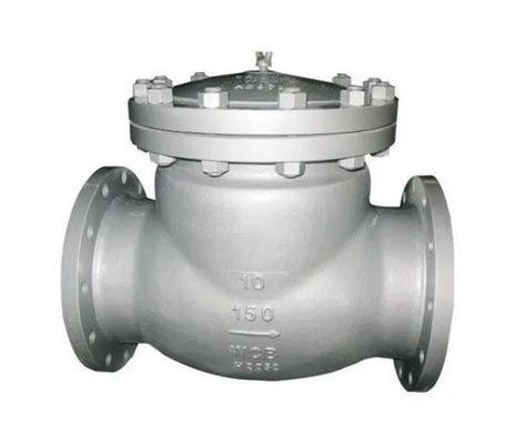 CI/DI/WCB/SS DN250 PN16 Flange End Fire Swing Check Valve with Customizable Port Size