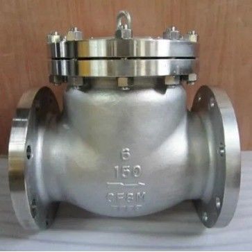 CI/DI/WCB/SS DN250 PN16 Flange End Fire Swing Check Valve with Customizable Port Size
