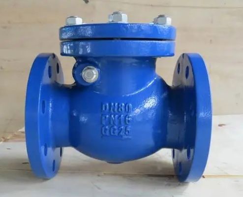 Ductile Iron Flanged Brass Seat Swing Check Valve with Customized Port Size Non Return