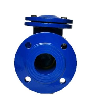 OBM Supported Stainless Steel Cast Iron DIN Standard Flanged Check Valve for B2B Buyer