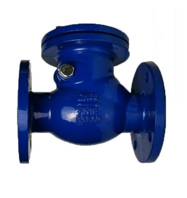 Customizable Ductile Cast Swing Type Check Valve CUSTOMIZED Port Size Selection