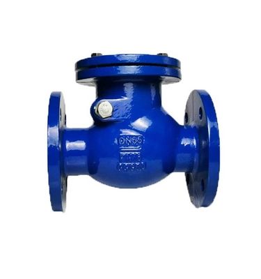 Customizable Ductile Cast Swing Type Check Valve CUSTOMIZED Port Size Selection