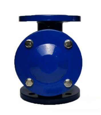 Customizable Ductile Cast Swing Type Check Valve CUSTOMIZED Port Size Selection