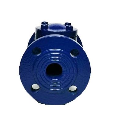 Customizable Ductile Cast Swing Type Check Valve CUSTOMIZED Port Size Selection