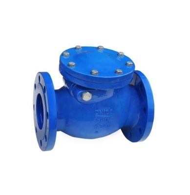 Non Return Valve Wafer Type Swing Check Valve for Medium Temperature Applications