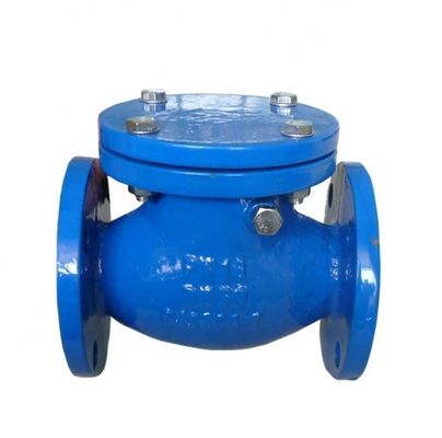Y Type DN200 Flange End Swing Check Valve PN16 for Customized OBM Customization Support
