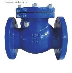 Y Type DN200 Flange End Swing Check Valve PN16 for Customized OBM Customization Support