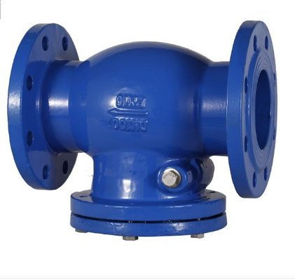 Y Type DN200 Flange End Swing Check Valve PN16 for Customized OBM Customization Support