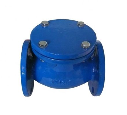 Y Type DN200 Flange End Swing Check Valve PN16 for Customized OBM Customization Support