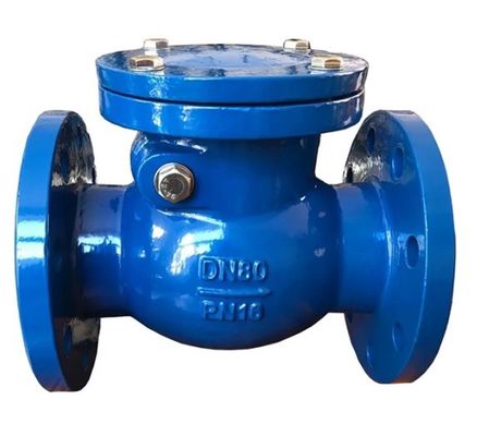 6 Inch / 8 Inch Ductile Iron CI PN16 Flanged Swing Check Valve for Customized ODM Support