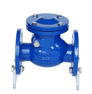 6 Inch / 8 Inch Ductile Iron CI PN16 Flanged Swing Check Valve for Customized ODM Support