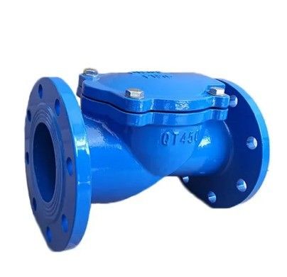 Water Media Rubber Plate Check Valve for Dependable and Consistent Performance