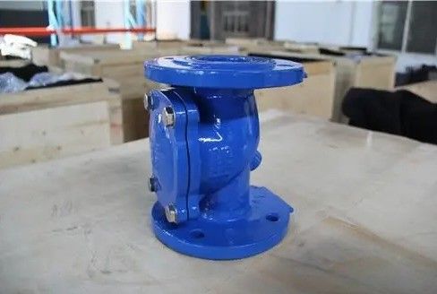 Water Media Rubber Plate Check Valve for Dependable and Consistent Performance