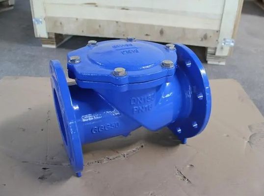 Dual Plate Brass HDPE Single Check Kit Check Valve for Depends on Specifications