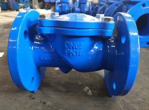 Customized DN50-DN600 Non Return Dual Plate Check Valve for Industrial Applications