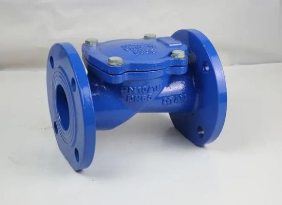Customized DN50-DN600 Non Return Dual Plate Check Valve for Industrial Applications