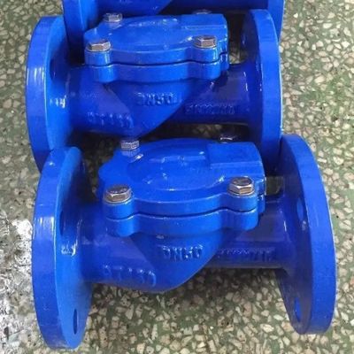 Complete Certificate High Temperature Corrosion Resistant Rubber Plate Swing Check Valve