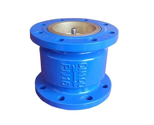 DI Water Stainless Steel Ductile Iron Cast Iron Spring Silent Silencing Silence Check Valve
