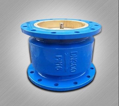 DN65 Cast Iron Silent Check Valve for Energy Saving in Water Media and OEM Port Size