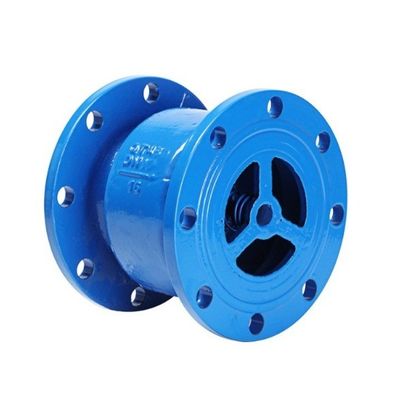 DN65 Cast Iron Silent Check Valve for Energy Saving in Water Media and OEM Port Size