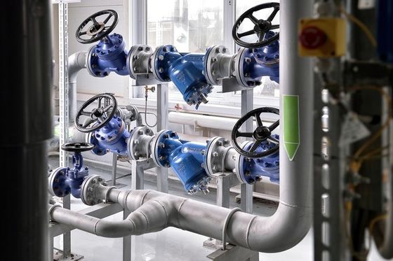 Stop Structure Stainless Steel Globe Valve and Fitting for Customized Requirements