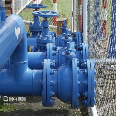Temperature Resistant H44W-16P CF8M Stainless Steel Check Valve for Flanged Connection