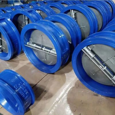 CI Body Material ANSI Standard Stainless Steel Dual Plate and Wafer Check Valve Made