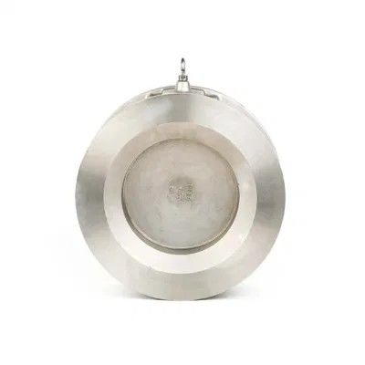 Water Media DN 50 Wafer Lift Single Plate Swing Check Valve Stainless Steel Flange Pn25