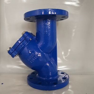 Water Media DN15-DN300 PN16 Ductile Iron Cast Iron Flanged Y Strainer for Industrial