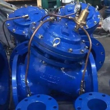 Excellent Multi-Function Water Pump Control Check Valve for Customized Support and OEM