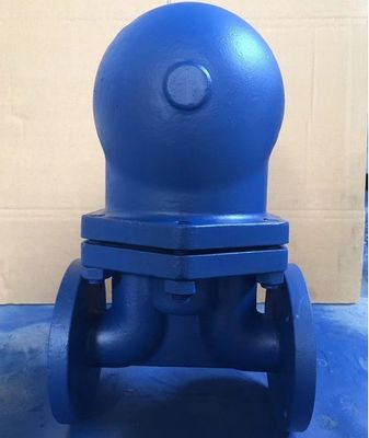 Industrial Usage Steam Trap Valve and Drain Valve with Standard Customization Service