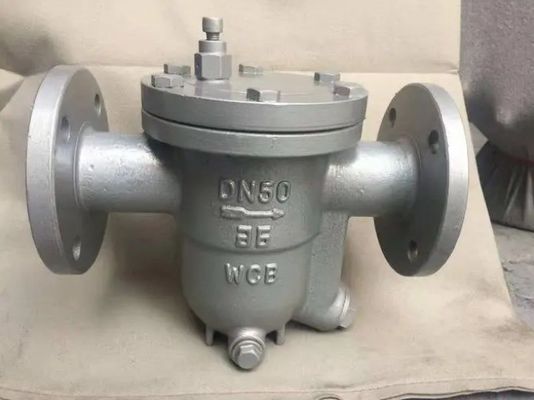 Durable Inverted Steam Trap Valve with Customized OBM Support and Ductile Iron Body